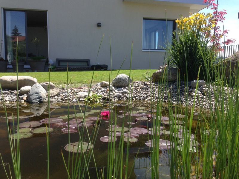 Garten mit Steinmauer